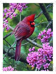 Ravensburger Springtime Cardinal - 500 Piece Puzzle