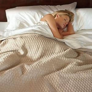 Egyptian Cotton Blanket - Storm Cloud, Full/Queen - Frontgate