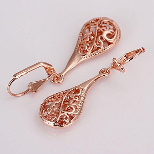 Lightweight Dangling Earrings Women Hollowed-out Leverback Earrings WA000908