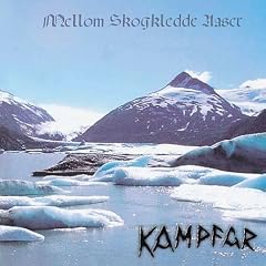 Mellon Skogkledde Aaser