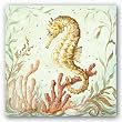 Atlantic Seahorse by Kate McRostie 10"x10" Art Print Poster