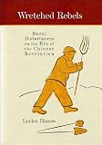 Wretched rebels : rural disturbances on the eve of the Chinese Revolution