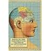 Maps of the Imagination: The Writer As Cartographer