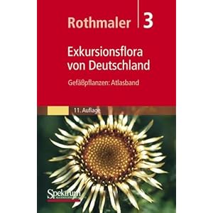 Rothmaler - Exkursionsflora von Deutschland, Bd. 3: Gefäßpflanzen. Atlasband