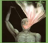 Stealing Fire [VINYL]