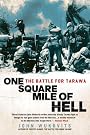 One Square Mile...