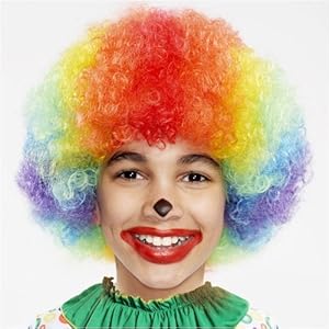 Rainbow Clown Adult Wig Adult