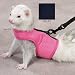Harness and Lead Set - Ferret Harness & Lead Set - Pink - Medium