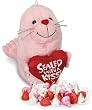 Sealed With A Kiss Plush Seal with Chocolate Kisses