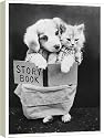 16 Inch Box Canvas (40cm) DOG AND CAT READING by Mary Evans