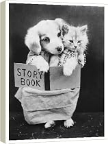 Box Canvas Print of DOG AND CAT READING from Mary Evans