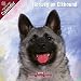 2009 Norwegian Elkhound Wall Calendar