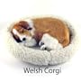 Welsh Corgi Puppy - Pet Mate / Nap Breathing Life Like Sleeping Dog in Bed