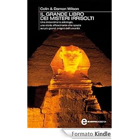 Il grande libro dei misteri irrisolti (eNewton Saggistica)