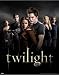 Twilight - Group - Mini Poster - 40cm x 50cm