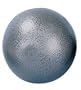 Champion Sports 8 Lb Iron Shot