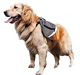 Kurgo Max Dog Backpack