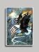 American Eagle and Flag Refrigerator Magnet