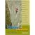 Clwyd Limestone (Rockfax Climbing Guide)