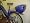 Thompson Euro Classic Electric Bicycle - Electric Bike