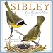 Books : Sibley: The Birder's Year 2009 Wall Calendar (Calendar)