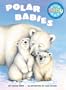 Polar Babies (For Baby Board Books)