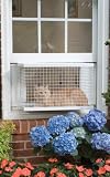 Cat Veranda
