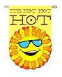 It's Hot, Hot, Hot Regular Size Applique Flag