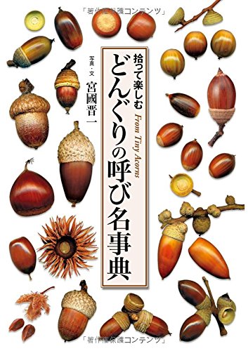 どんぐりの呼び名事典 拾って楽しむ