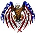 American Flag Eagle Wings Large 10 inch Decal