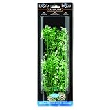 biOrb Winter Flower Plants, 2 Plants