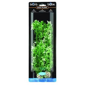 biOrb Winter Flower Plants - 2 Pack