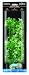 biOrb Winter Flower Plants - 2 Pack