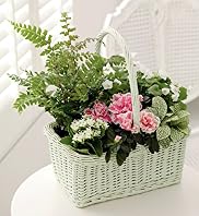 Large Willow Basket