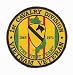 1st Cavalry Division Vietnam Veteran Patch Image