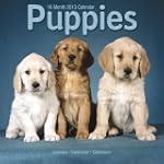 Puppies 2013 Wall Calendar