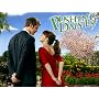 Pushing Daisies Season 2