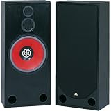 BIC AMERICA RTR-1530 15-Inch 3-Way Floor Standing Speaker (BIC AMERICA RTR1530)