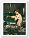 A Mermaid by John William Waterhouse 20x28.25 Art Print Poster