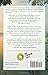 The Poetry of Yoga: Light Pouring from Pens (Poetry of Yoga Series, 1)