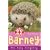 Barney: The Baby Hedgehog (Animal Rescue)