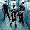 Image of Guano Apes