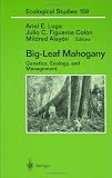  : Big-Leaf Mahogany