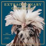 Extraordinary Chickens 2013 Wall Cale...