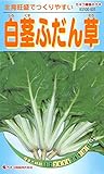 カネコ種苗 野菜タネ531 白茎ふだん草 10袋セット