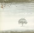 Wind & Wuthering [Bonus DVD]