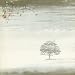 Wind & Wuthering [Bonus DVD]