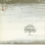 Wind & Wuthering [Bonus DVD]