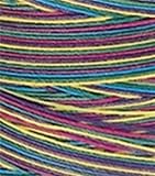 Coats & Clark Star Hand Quilting Thread Variegated