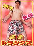 成金トランクスの画像
